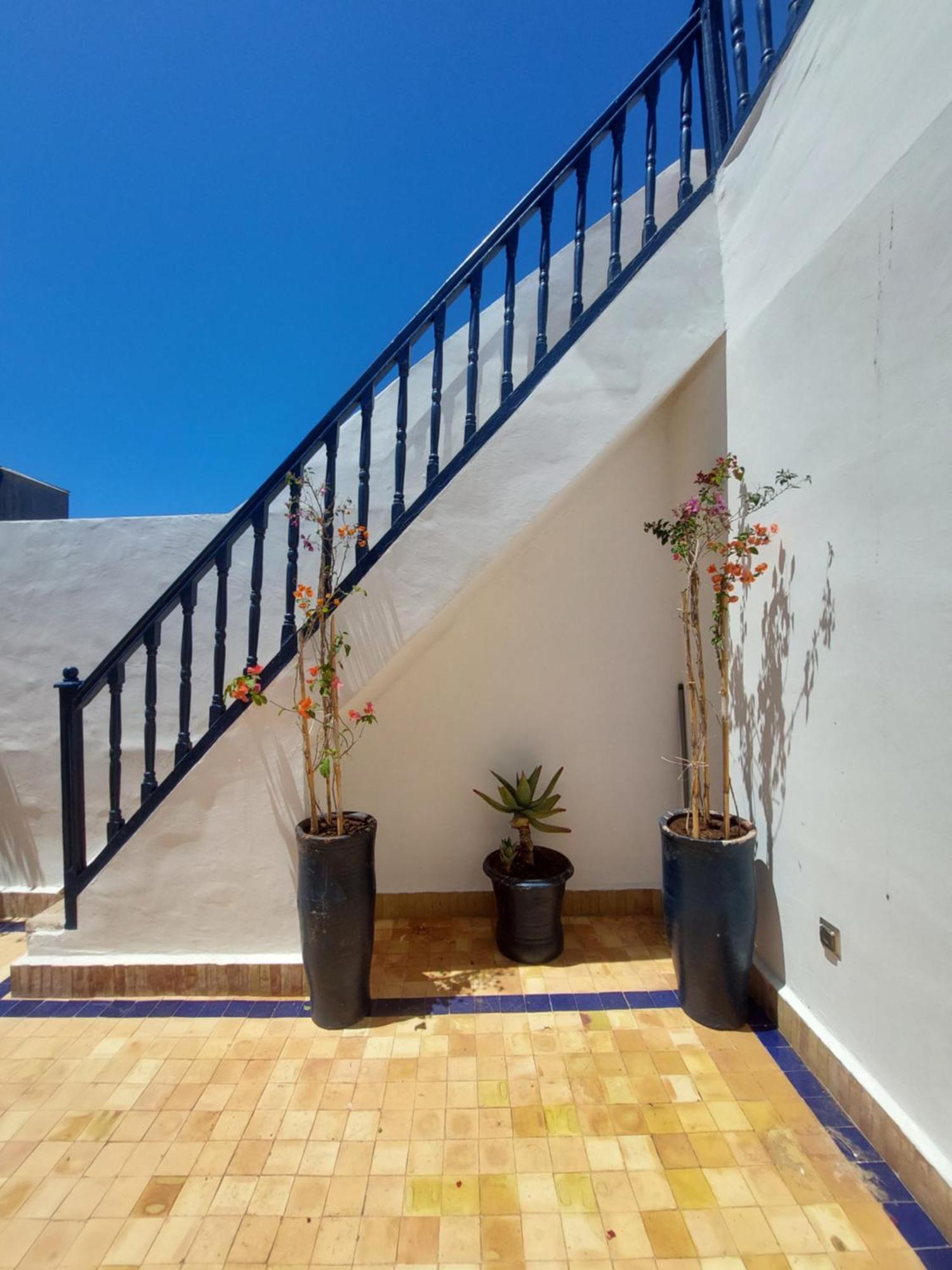 אסאוירה Riad Babette מראה חיצוני תמונה